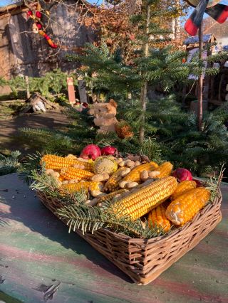 Zvířátka už mají svojí hostinu nachystanou 😍 Kdo se na nás dorazí podívat? Brány vánočně vyzdobené kovárny se otevírají...