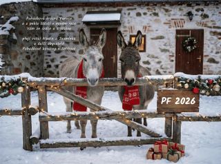 Červené šály, zasněžený dvorek a za plotem dárky… to může znamenat jediné – Vánoce dorazily i k nám do Selibova! 🎄 Aladin...